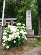 北本高尾氷川神社