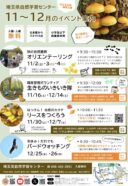 【自然観察学習センター】11・12月イベント案内🍁