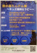 夜の森たんけん隊〜キッズ森林セラピー〜🌛