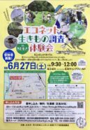 【参加者募集】エコネット生きもの調査体験会🐸